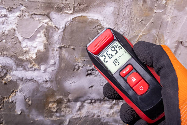 Trusted Bermuda Run, NC Mold Removal Experts